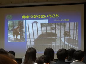 Lecture by Mr. Bando, Curator at the Asahiyama Zoo