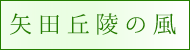 矢田丘陵からの風