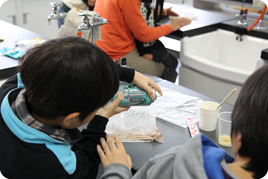 SSH第2回奈良学塾「小学生科学実験教室～かたくてとろけるチョコレートの科学～」を開催