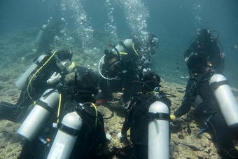 ＳＳ国内研修「八重山諸島のサンゴの現状と未来研修」を行いました