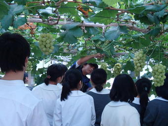 「学外サイエンス学習」で京都府立大学生命環境学部附属農場へ行きました