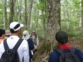 ＳＳ国内研修「森の連環学習－ブナ林とヒトの共生－研修」を行いました
