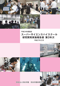 研究開発実施報告書