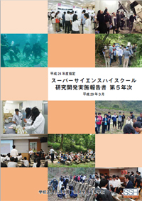 研究開発実施報告書