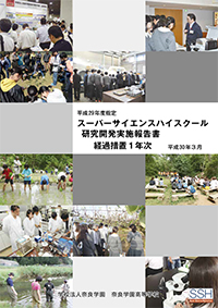 研究開発実施報告書