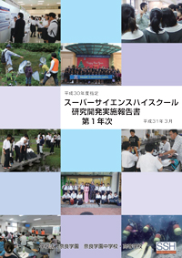 研究開発実施報告書