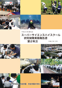 研究開発実施報告書