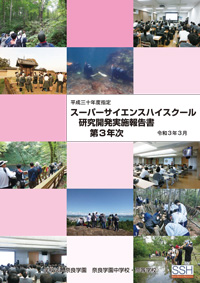 研究開発実施報告書