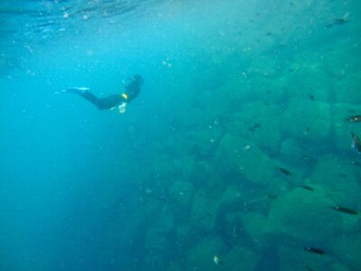 SS国内研修「北限サンゴの保全研修」を実施しました