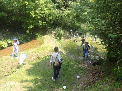 第１回奈良学塾「里山の森を育てるクラブ－入門編－」参加者募集（小学生とそのご家族対象）